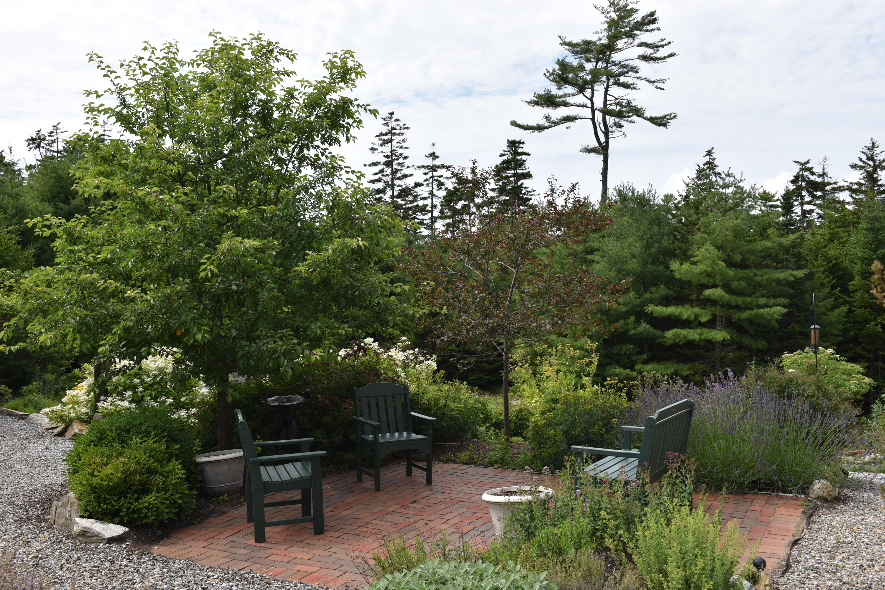43 Merganser Cove Road Orrs Island, ME 04066 - Photo 16 of 62 DSC_0363