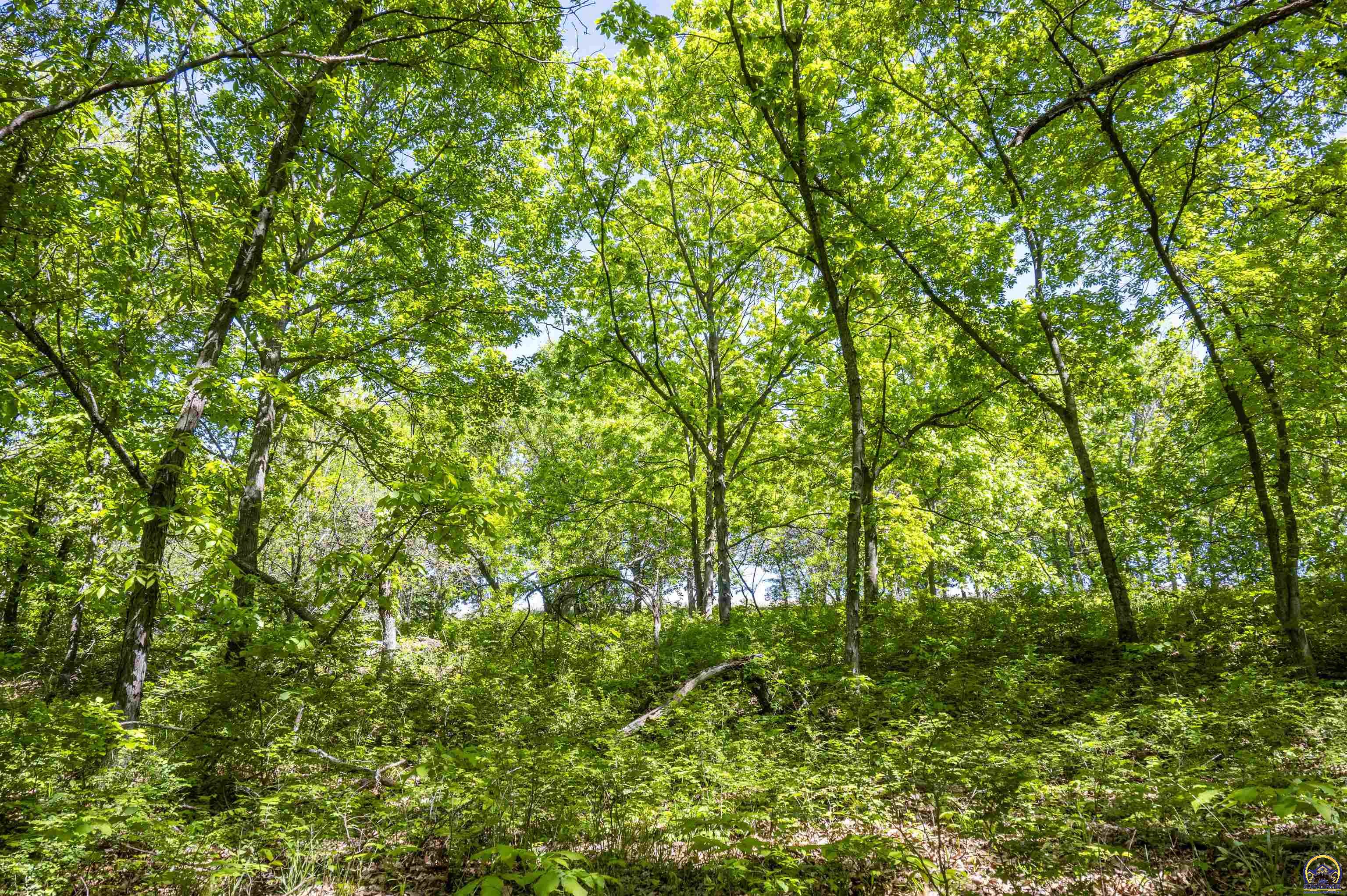 2026 Northwest Douglas Road Topeka, KS 66615 - Photo 26 of 94
