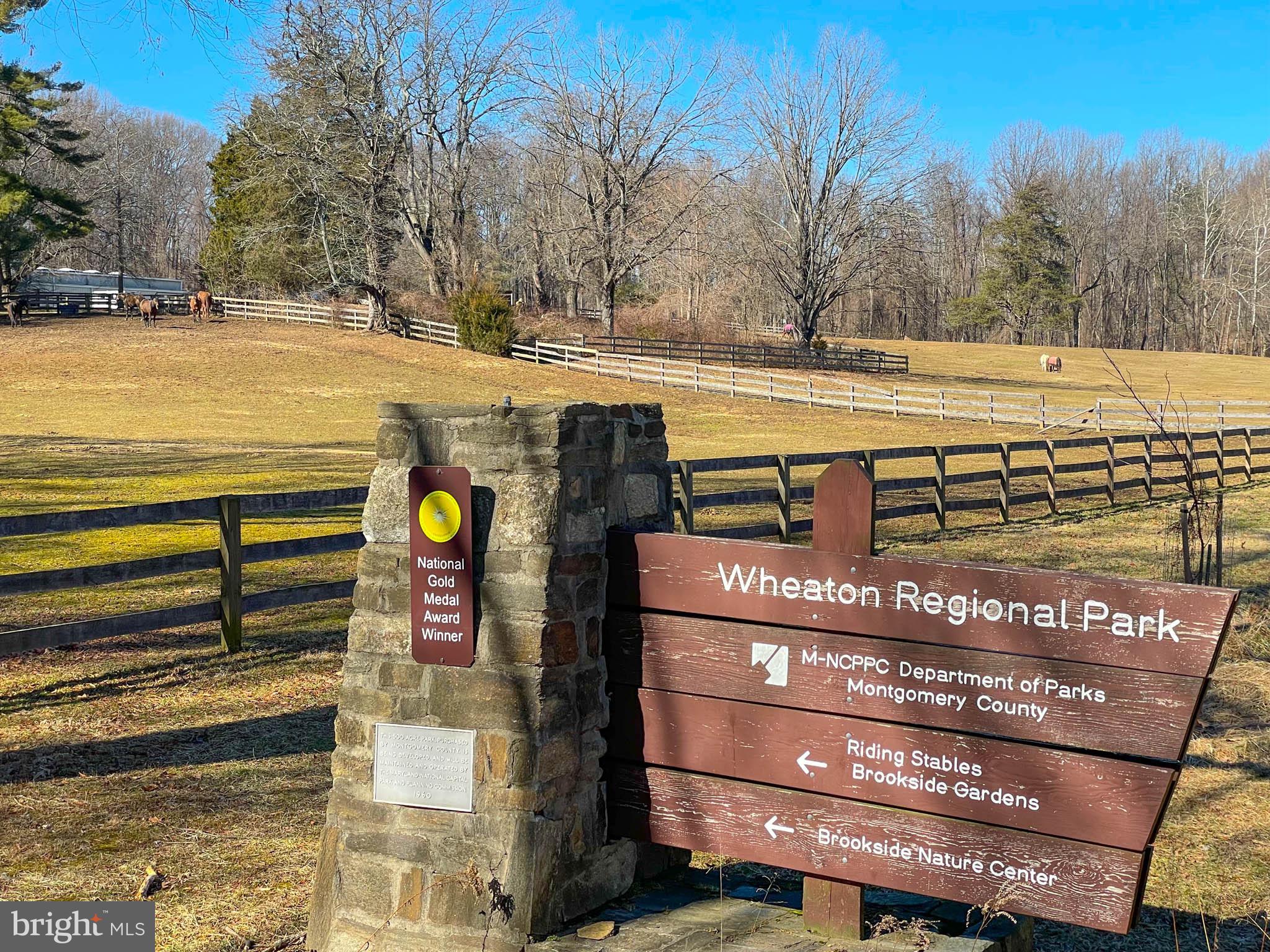 12216 Somersworth Drive Silver Spring, MD 20902 - Photo 54 of 56