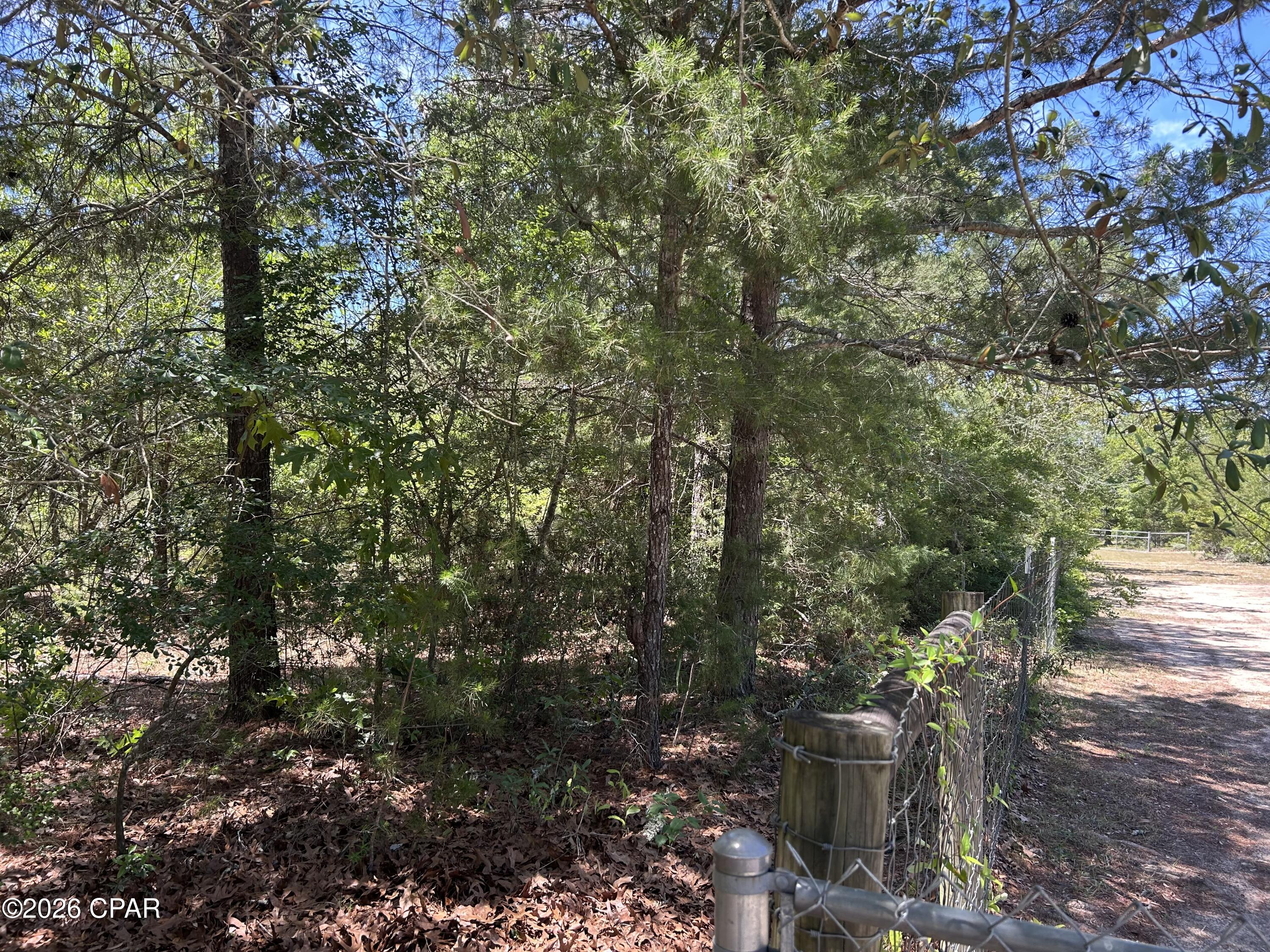 0 Bonnett Pond Road Chipley, FL 32428 - Photo 9 of 9
