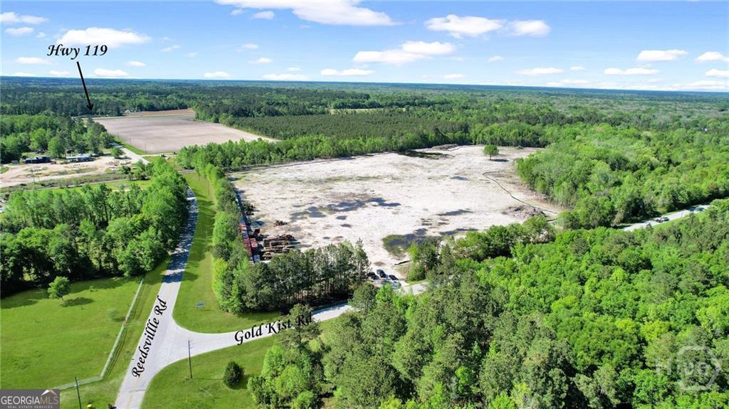 1382 Reedsville Road Clyo, GA 31303 - Photo 1 of 10 a view of a garden with a building in the background