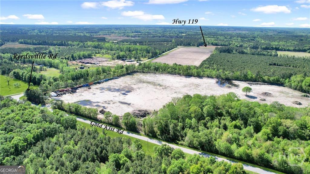 1382 Reedsville Road Clyo, GA 31303 - Photo 2 of 10 a view of a backyard