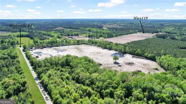 a view of a garden with a building in the background