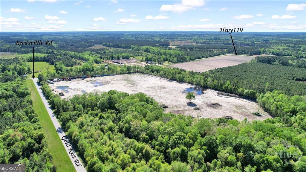 1382 Reedsville Road Clyo, GA 31303 - Photo 3 of 10 a view of a garden with a building in the background
