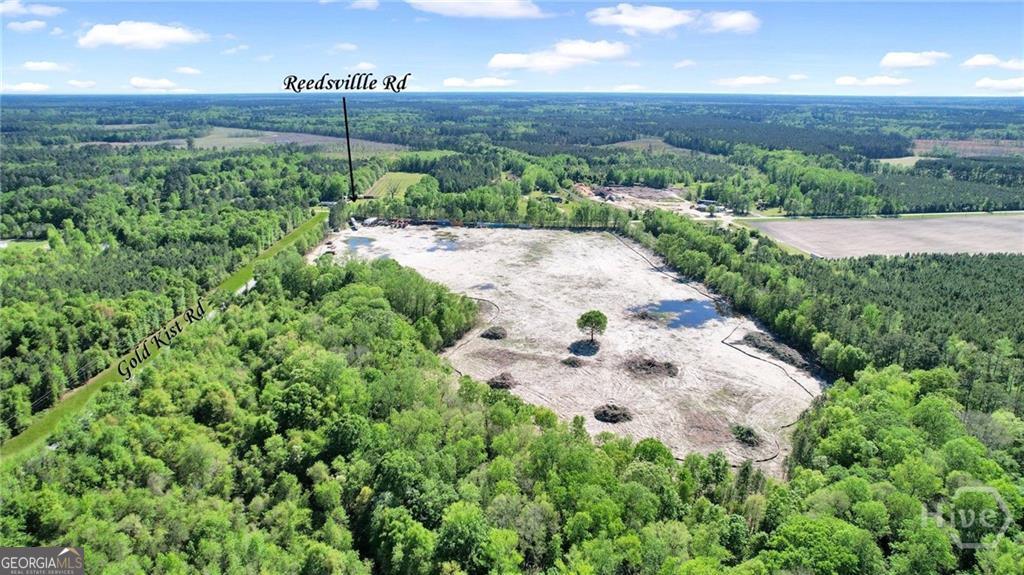 1382 Reedsville Road Clyo, GA 31303 - Photo 4 of 10 an aerial view of a house with yard and green space