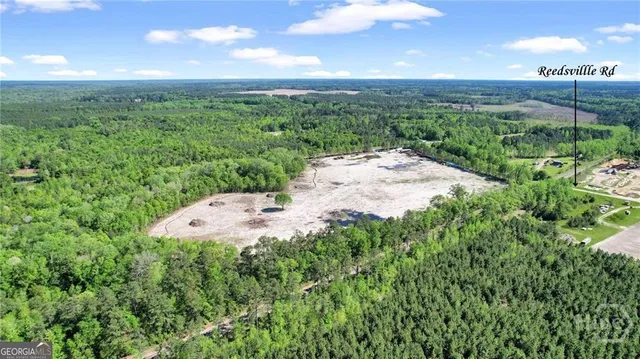 a view of a pathway both side of grassy field with shrub
