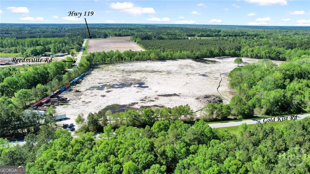 1382 Reedsville Road Clyo, GA 31303 - Photo 6 of 10 a view of a garden