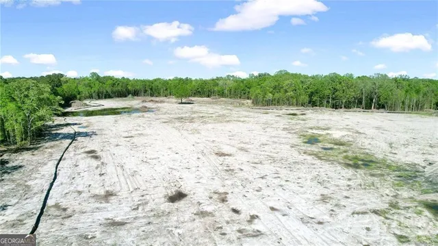 $999,000 | 1382 Reedsville Road, Clyo, GA 31303