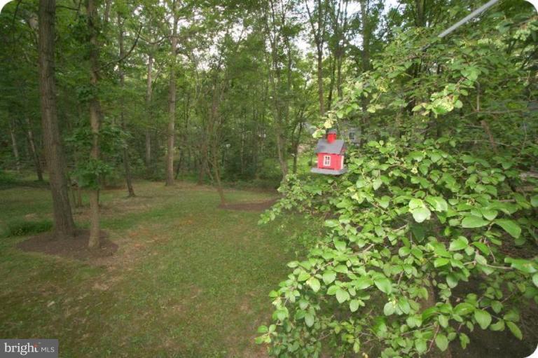 10915 Hunt Club Road Reston, VA 20190 - Photo 23 of 27 a flag is sitting in the middle of a yard