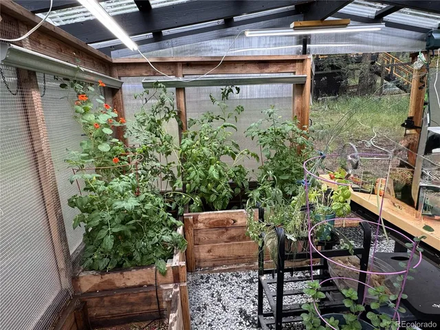 a view of backyard of the house