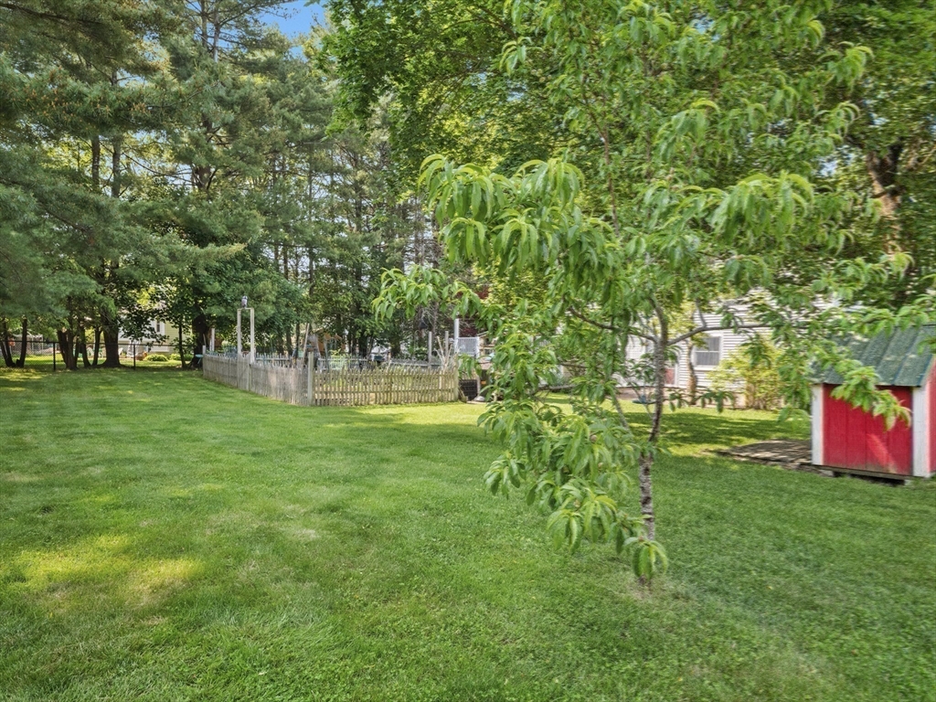 22 Bryant Road Lexington, MA 02420 - Photo 37 of 40 a garden view