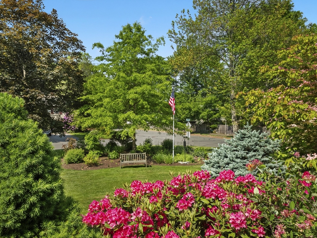 22 Bryant Road Lexington, MA 02420 - Photo 39 of 40 a view of a flower in a garden