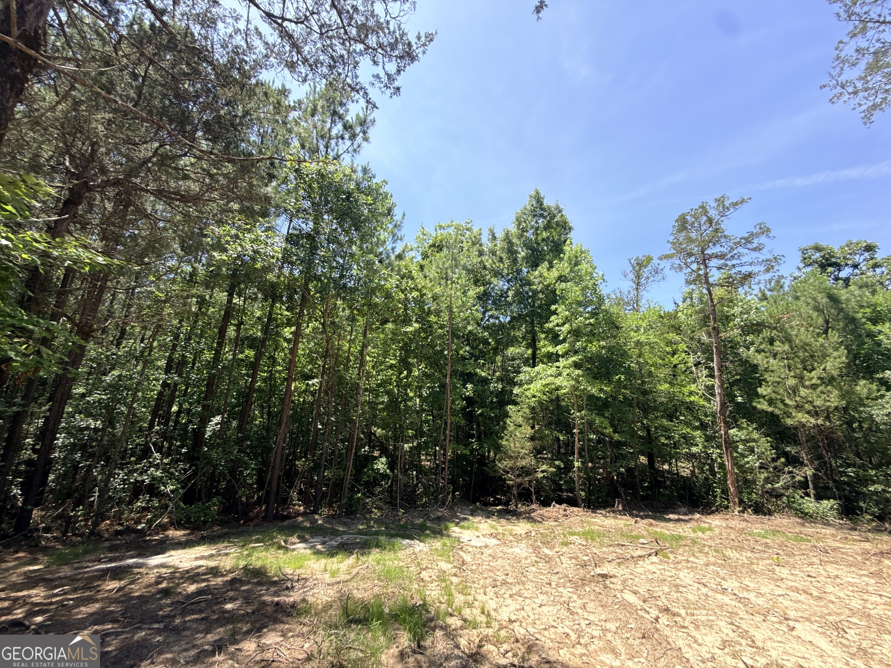 2787 Cedar Creek Road Elberton, GA 30635 - Photo 39 of 88
