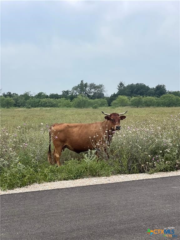 67 Pitchfork Ranch Road Copperas Cove, TX 76522 - Photo 12 of 29 a lake view with a city view