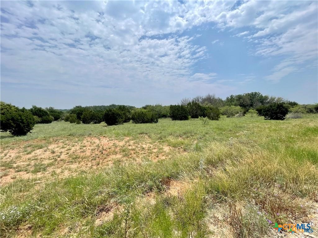 67 Pitchfork Ranch Road Copperas Cove, TX 76522 - Photo 26 of 29 a view of a yard with an outdoor space and seating area