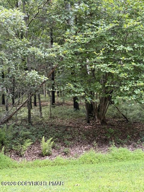 21-21 Ranier Road Effort, PA 18330 - Photo 3 of 4 Wooded lot