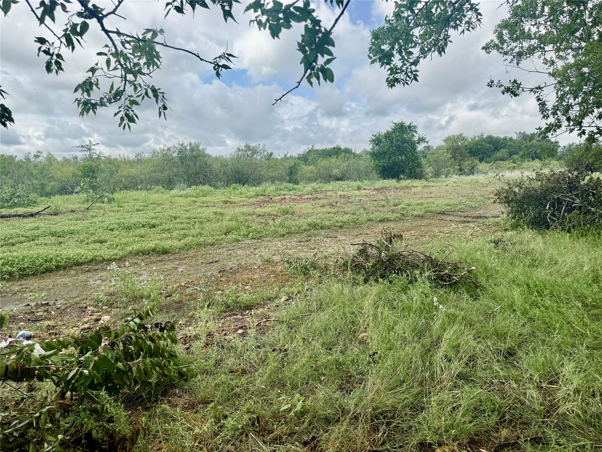 0 Engelke Road Kyle, TX 78640 - Photo 7 of 16 A verdant, open lot awaits your vision, bordered by natural shrubbery under a vast sky.