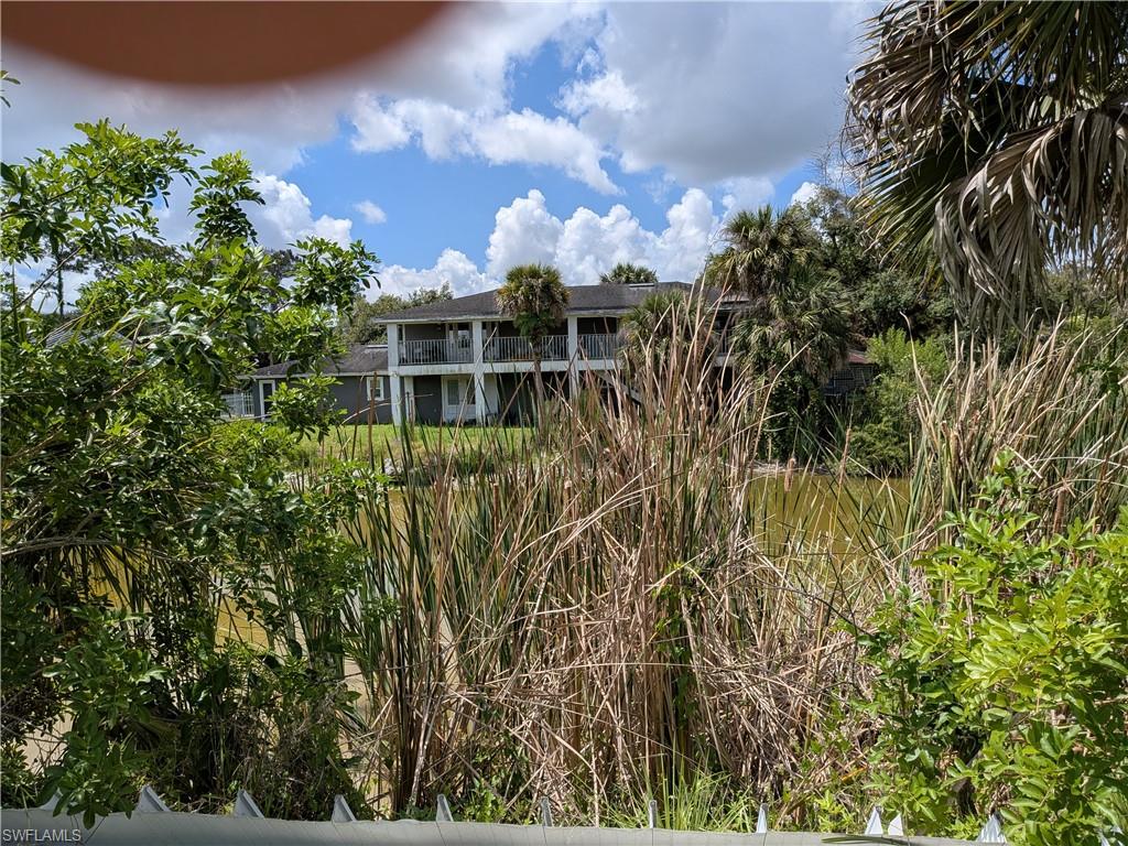 17191 Frank Road Alva, FL 33920 - Photo 3 of 27 a view of a garden