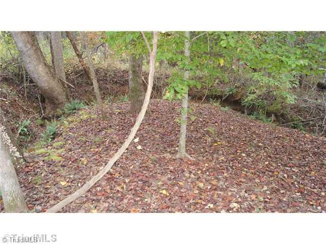Lot 31 Frank Joyce Sandy Ridge Sandy Ridge, NC 27046 - Photo 2 of 10 Land.