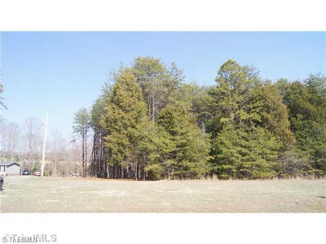 Lot 31 Frank Joyce Sandy Ridge Sandy Ridge, NC 27046 - Photo 4 of 10 Land.