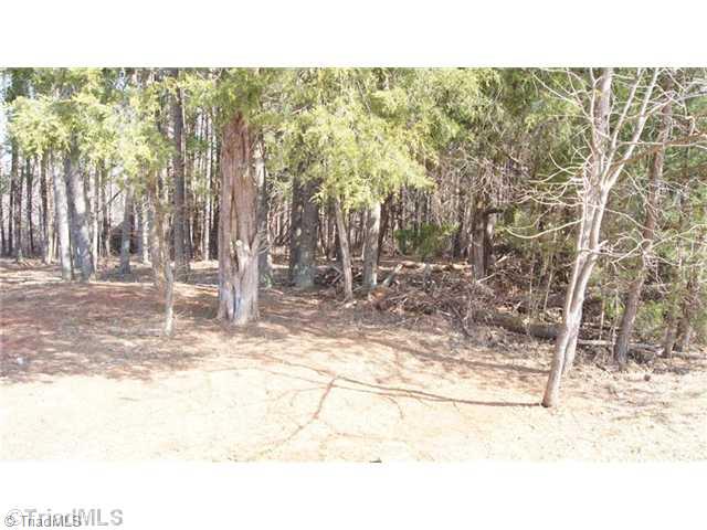 Lot 31 Frank Joyce Sandy Ridge Sandy Ridge, NC 27046 - Photo 7 of 10 Land.