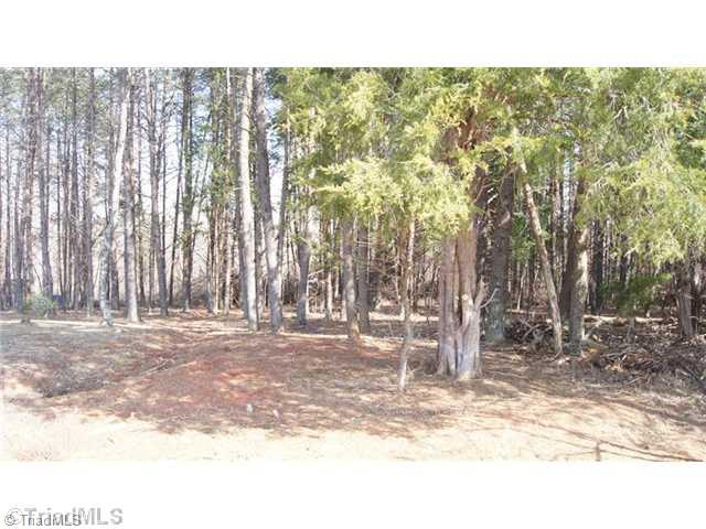 Lot 31 Frank Joyce Sandy Ridge Sandy Ridge, NC 27046 - Photo 8 of 10 Land.