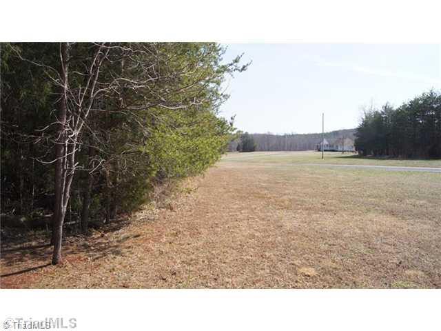 Lot 31 Frank Joyce Sandy Ridge Sandy Ridge, NC 27046 - Photo 10 of 10 Land.