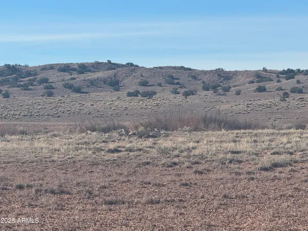 a view of a dry field