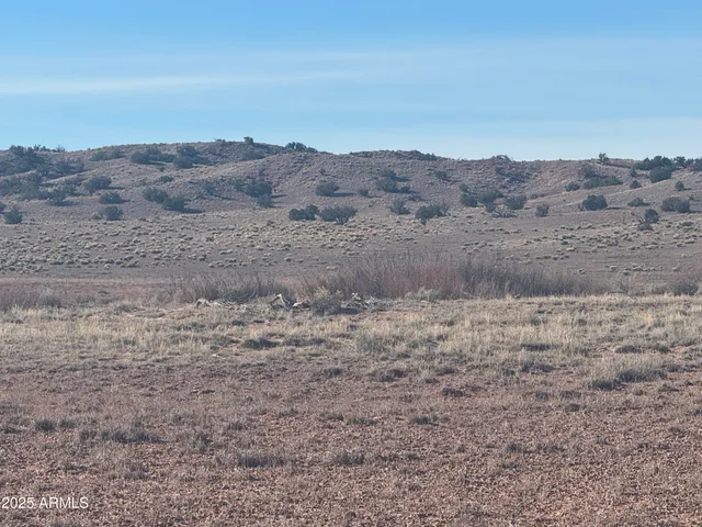 a view of a dry field