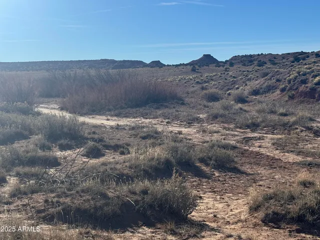 a view of mountain and a forest