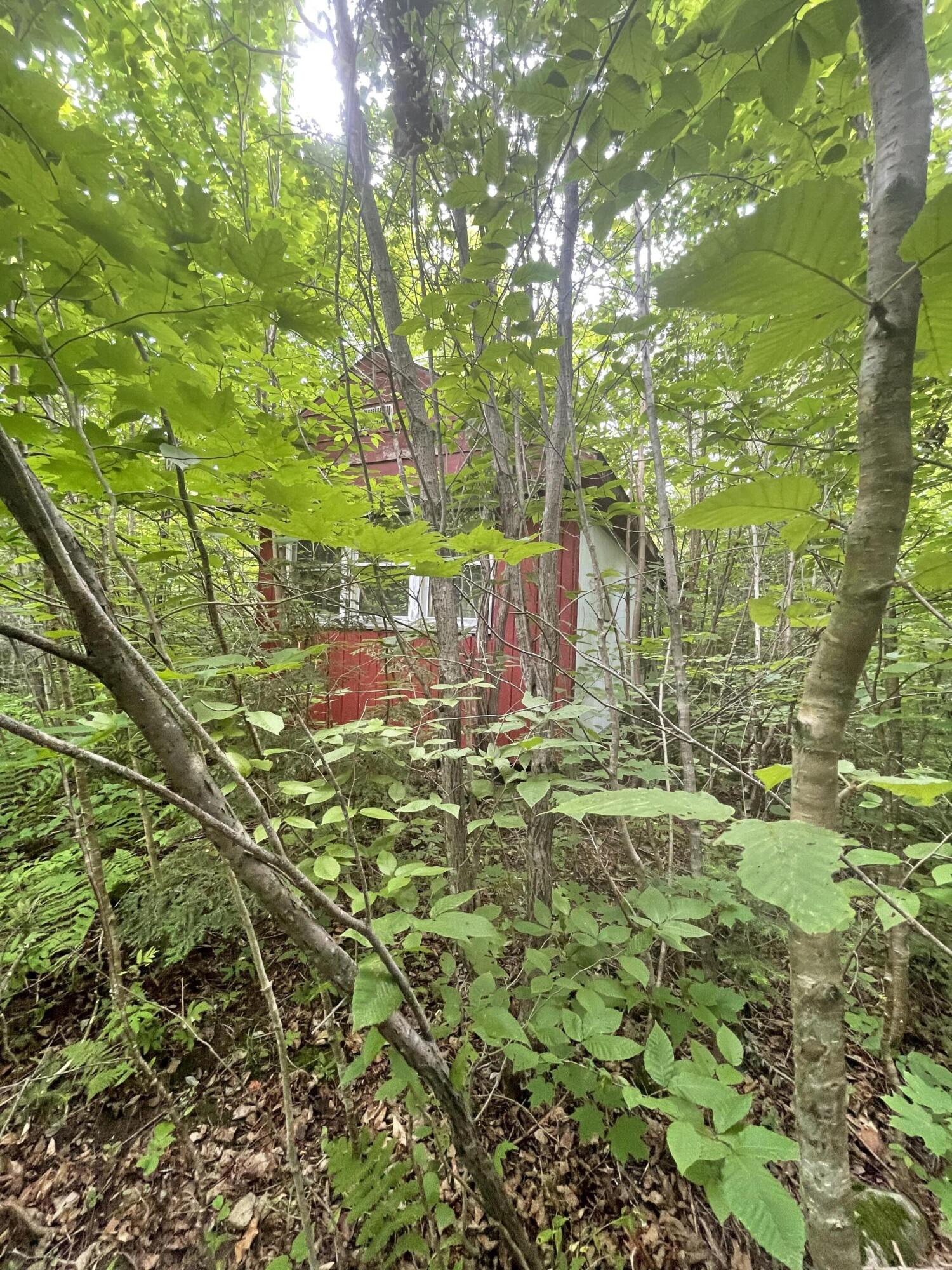 1159 Woodville Road Lincoln, ME 04457 - Photo 3 of 5 IMG_1967