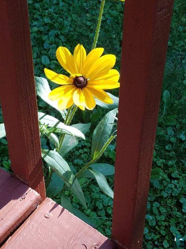 5558 Halie Road Proctor, MN 55810 - Photo 43 of 47