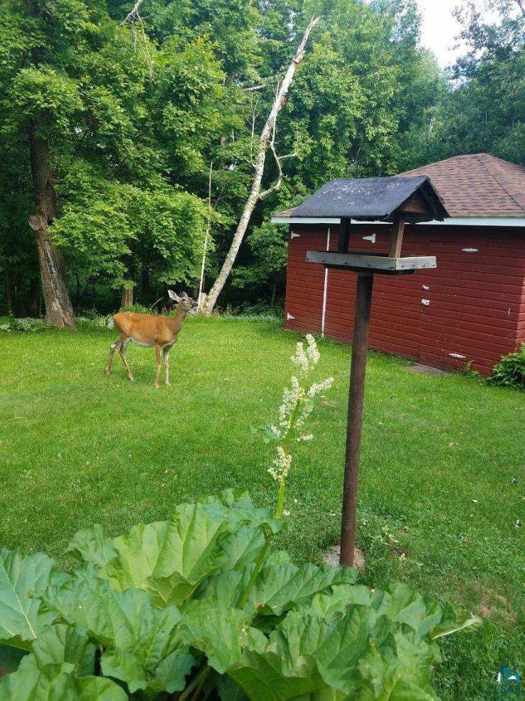 5558 Halie Road Proctor, MN 55810 - Photo 44 of 47