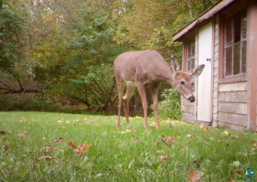 5558 Halie Road Proctor, MN 55810 - Photo 45 of 47