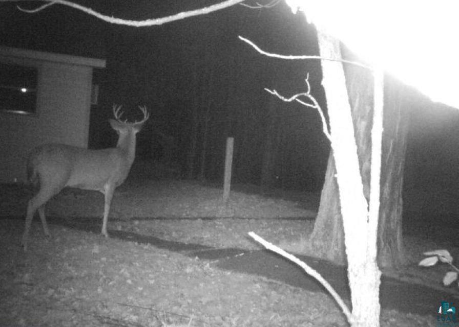 5558 Halie Road Proctor, MN 55810 - Photo 46 of 47