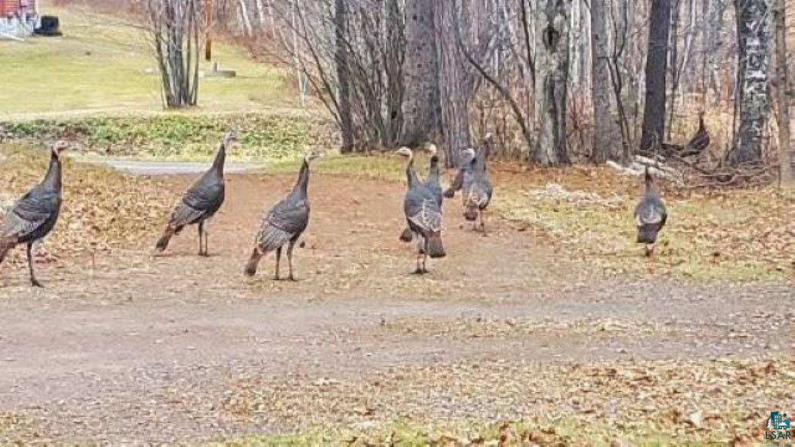 5558 Halie Road Proctor, MN 55810 - Photo 47 of 47