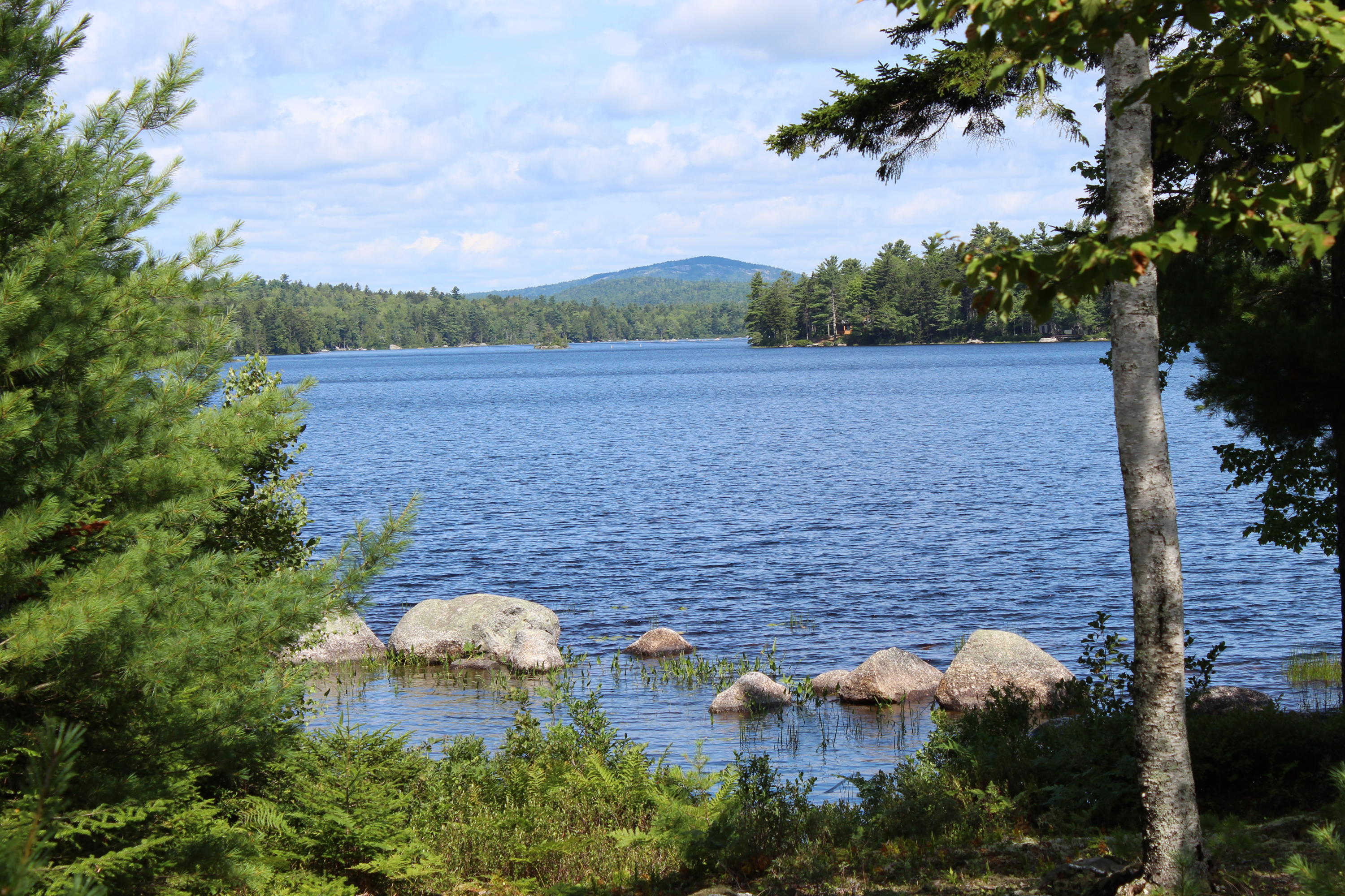 286 Gus Moore Road Penobscot, ME 04476 - Photo 5 of 57 IMG_8004