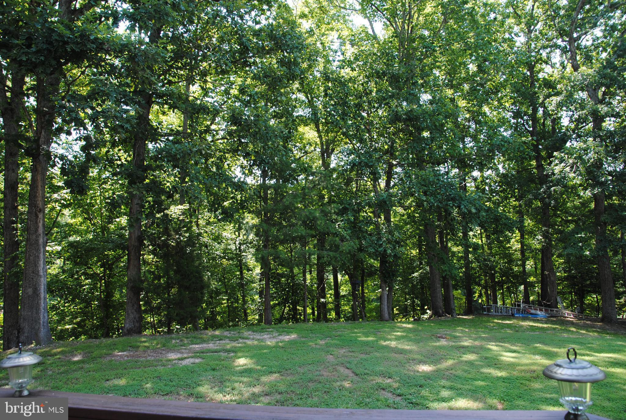 104 Flippo Road Stafford, VA 22554 - Photo 46 of 51 Park-like setting