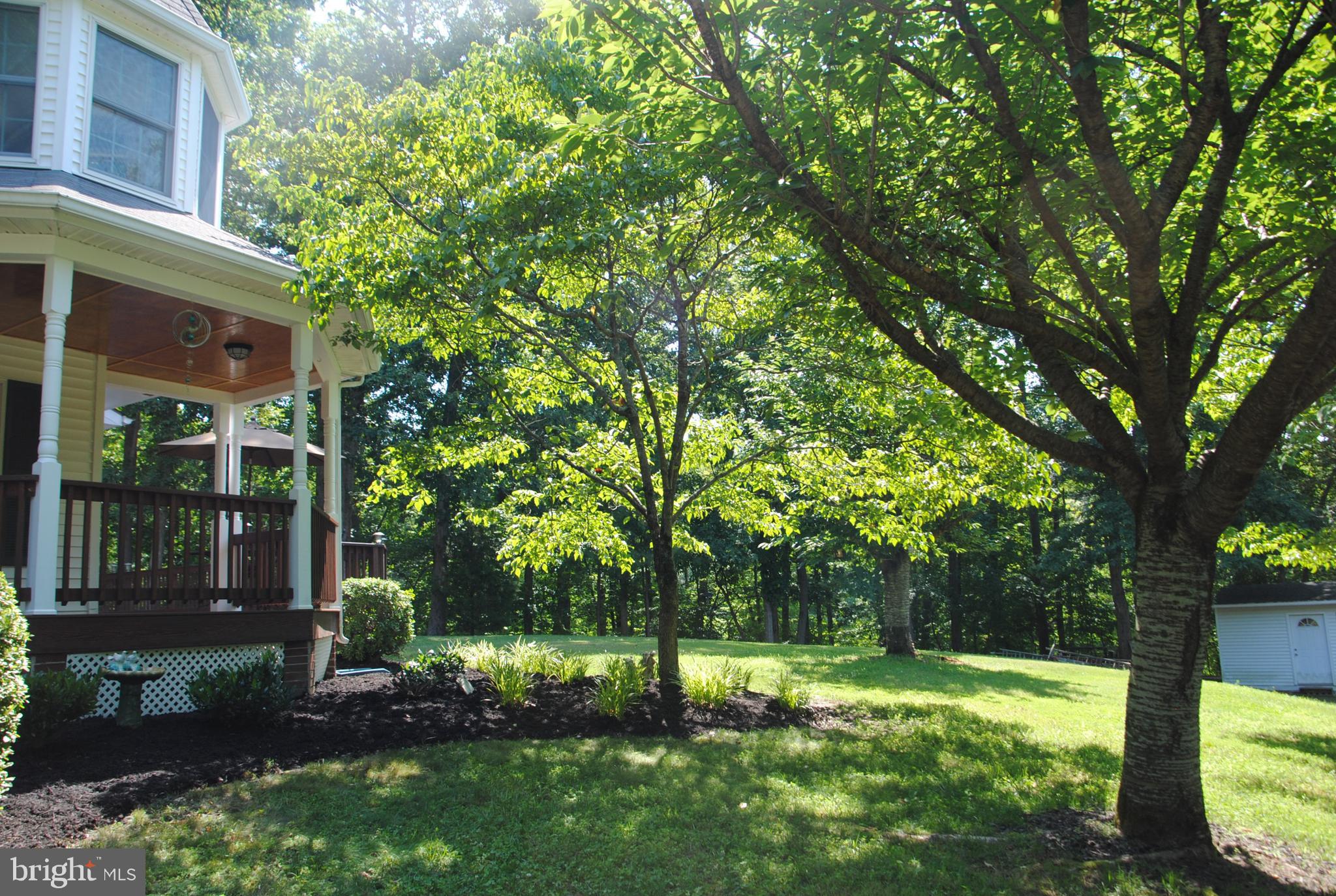 104 Flippo Road Stafford, VA 22554 - Photo 6 of 51 Beautiful landscaping