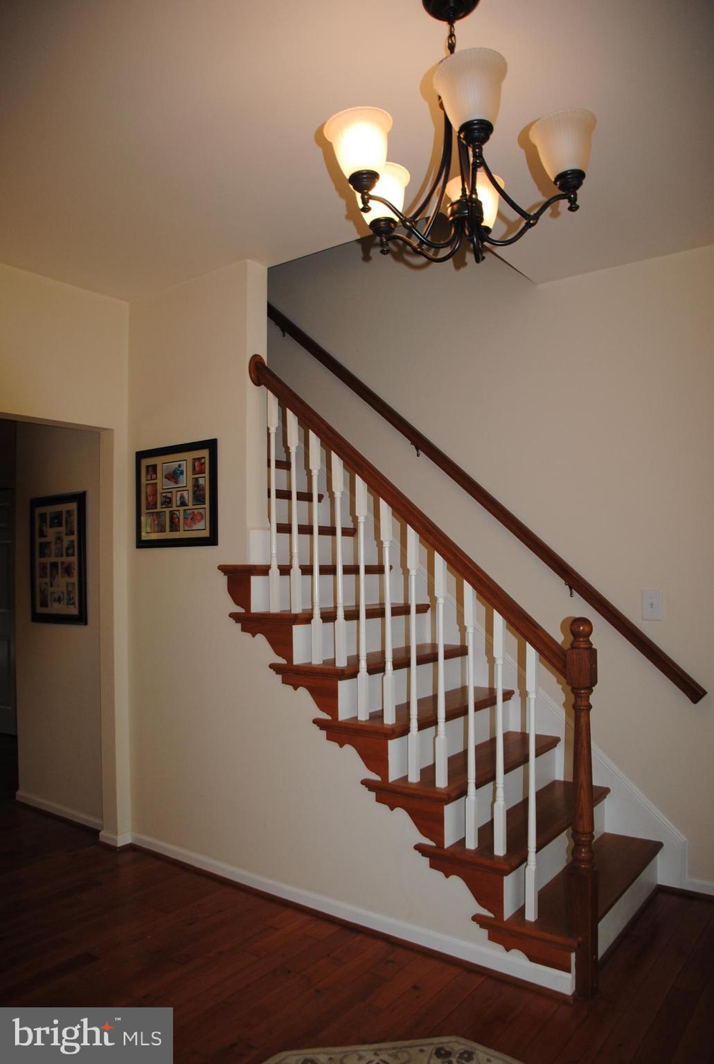 104 Flippo Road Stafford, VA 22554 - Photo 9 of 51 Foyer with hardwood floors 9' ceilings