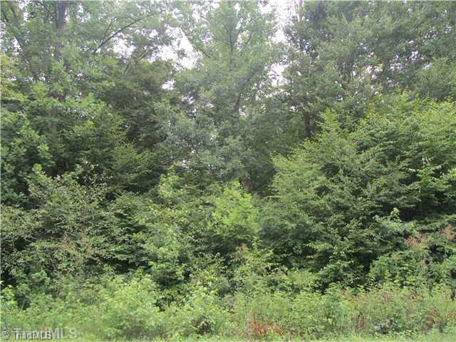 1535 Frank Joyce Road Sandy Ridge, NC 27046 - Photo 1 of 1 Land.