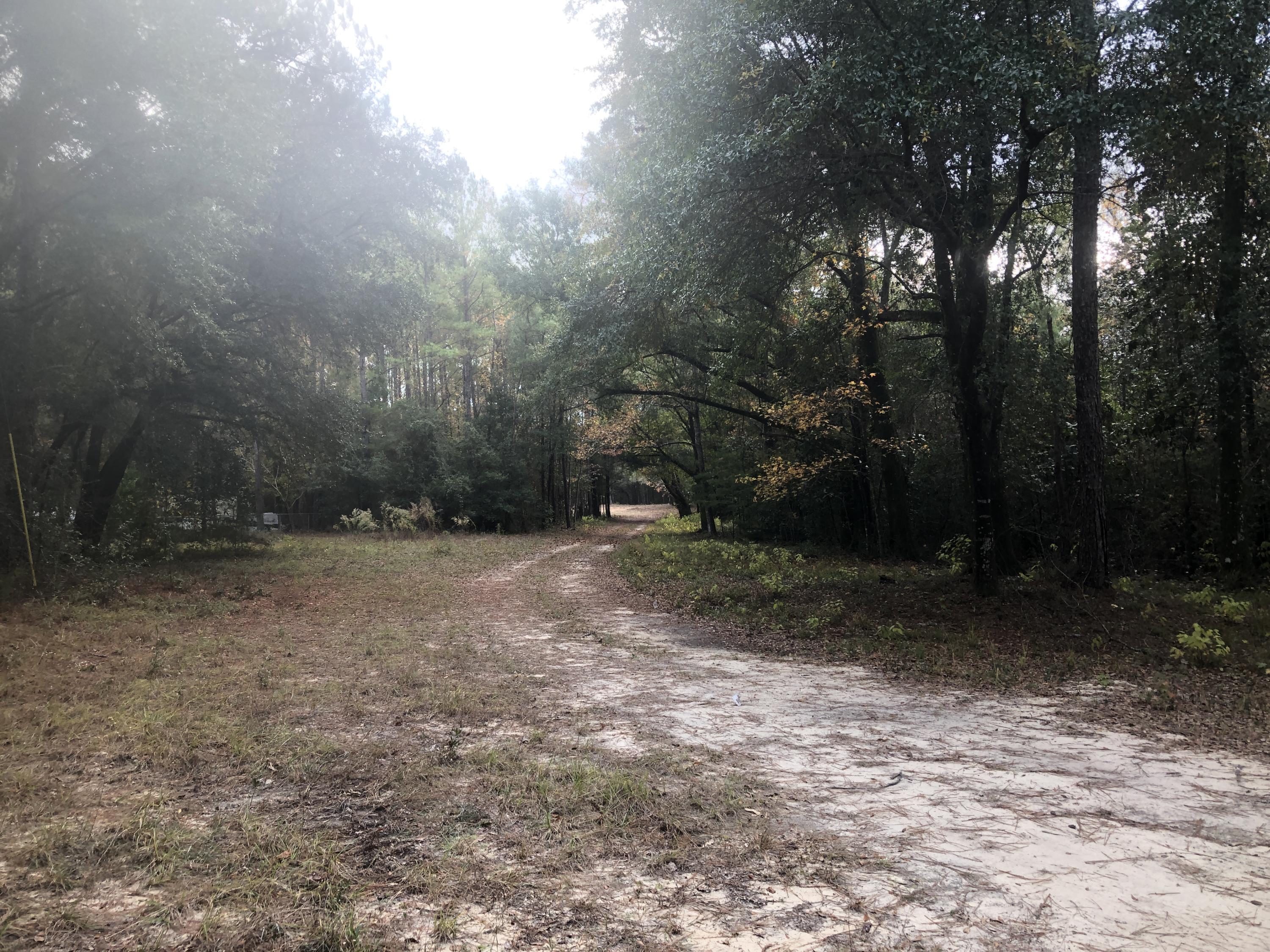 5439 Old River Road Baker, FL 32531 - Photo 2 of 12 a backyard of a house with lots of green space