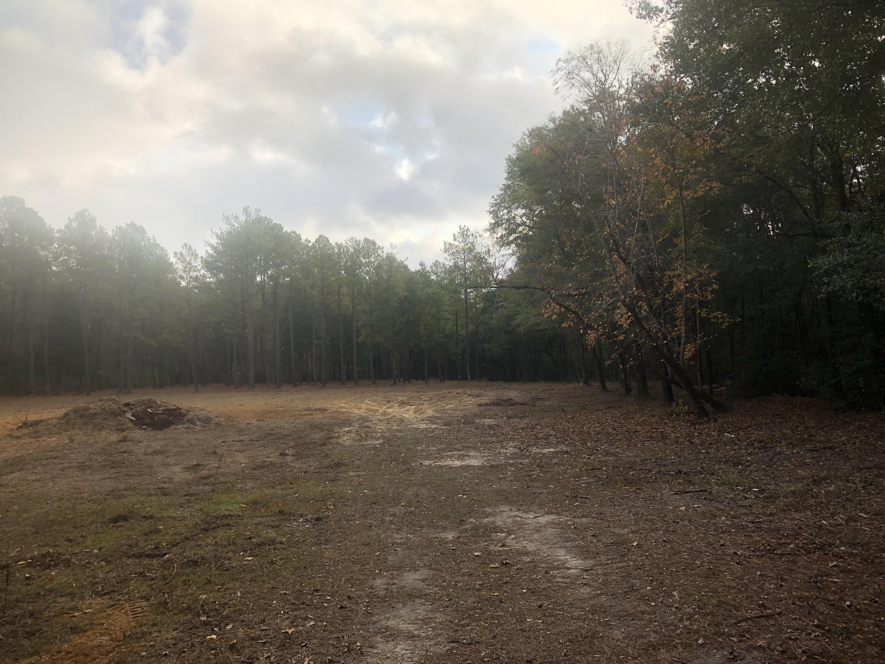 5439 Old River Road Baker, FL 32531 - Photo 4 of 12