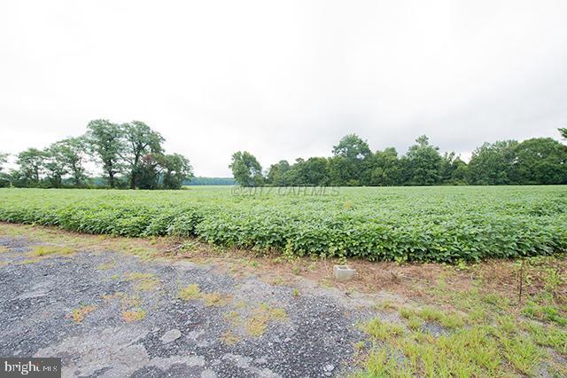 5578 Blake Road Snow Hill, MD 21863 - Photo 42 of 47 Gallery Image 42