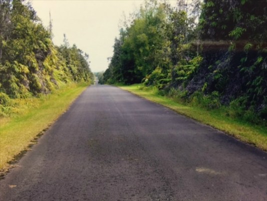 1968 Lot Volcano, HI 96785 - Photo 2 of 2 Gallery Image 2
