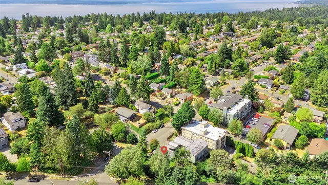 a aerial view of a house with a yard and large trees