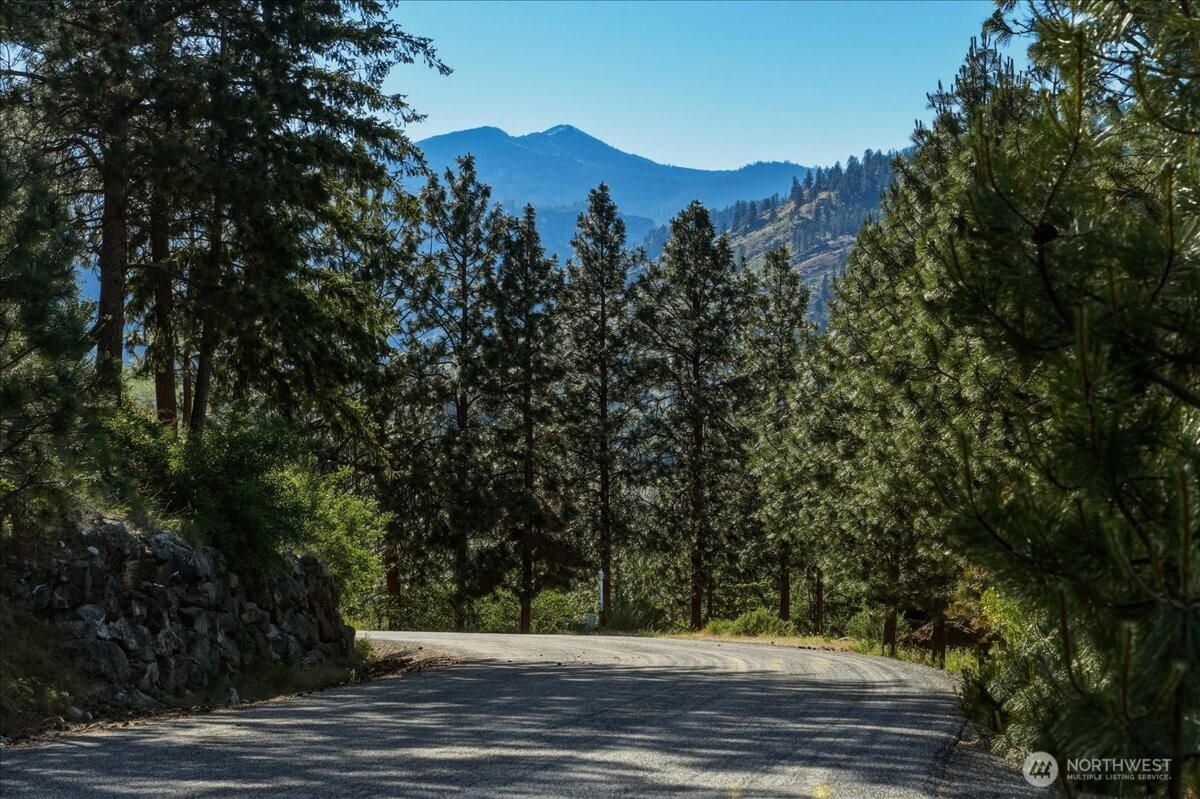 7376 Ridgeview Drive Chelan, WA 98816 - Photo 8 of 21 a view of a yard