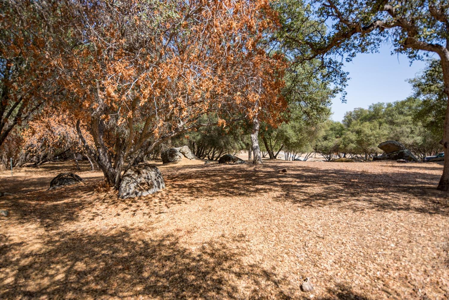 40678 Rancho Ramon Circle Coarsegold, CA 93614 - Photo 28 of 53 Gallery Image 28