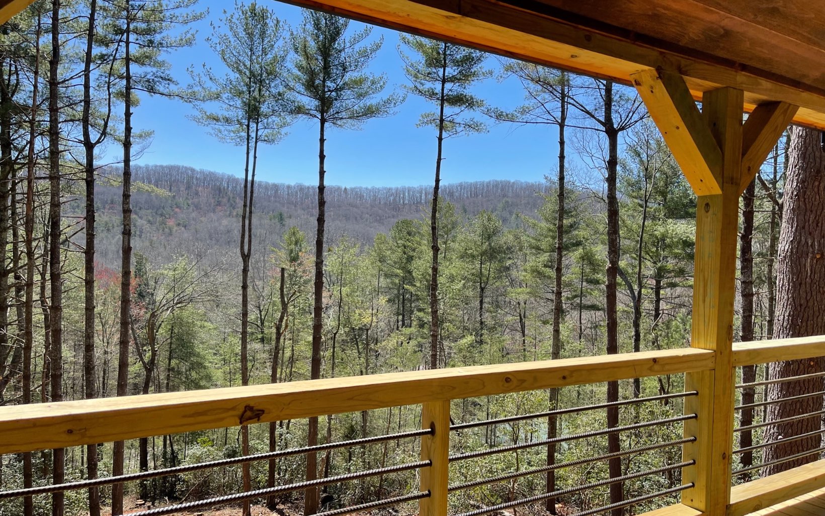 58 Papa Bear Path Cherry Log, GA 30522 - Photo 19 of 33 a view of a balcony