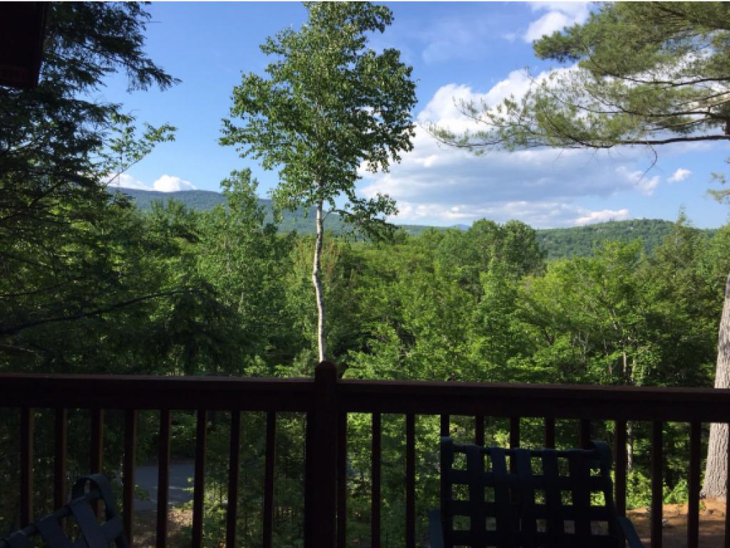 102 Littlefield Road Bartlett, NH 03838 - Photo 6 of 22 Gallery Image 6